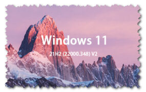 Windows 11 21H2 (22000.348) V2 64位 专业版 GHO纯净版系统下载