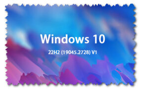 Windows10 22H2 (19045.2728) V1 64位 专业版 GHO纯净版系统下载