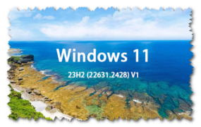 Windows 11 23H2 (22631.2428) V1 64位 专业版 GHO纯净版系统下载